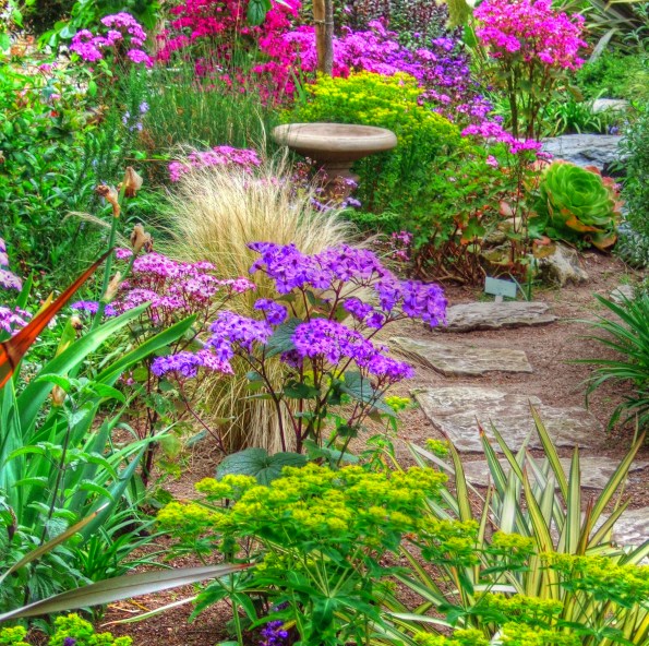 215512082_cd0f6e07b8_o