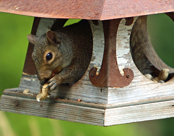 IMG_1370down the hatch