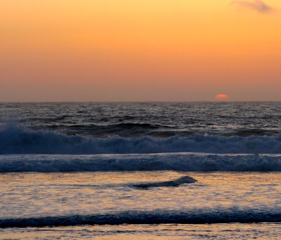 Carmel March 2010 099
