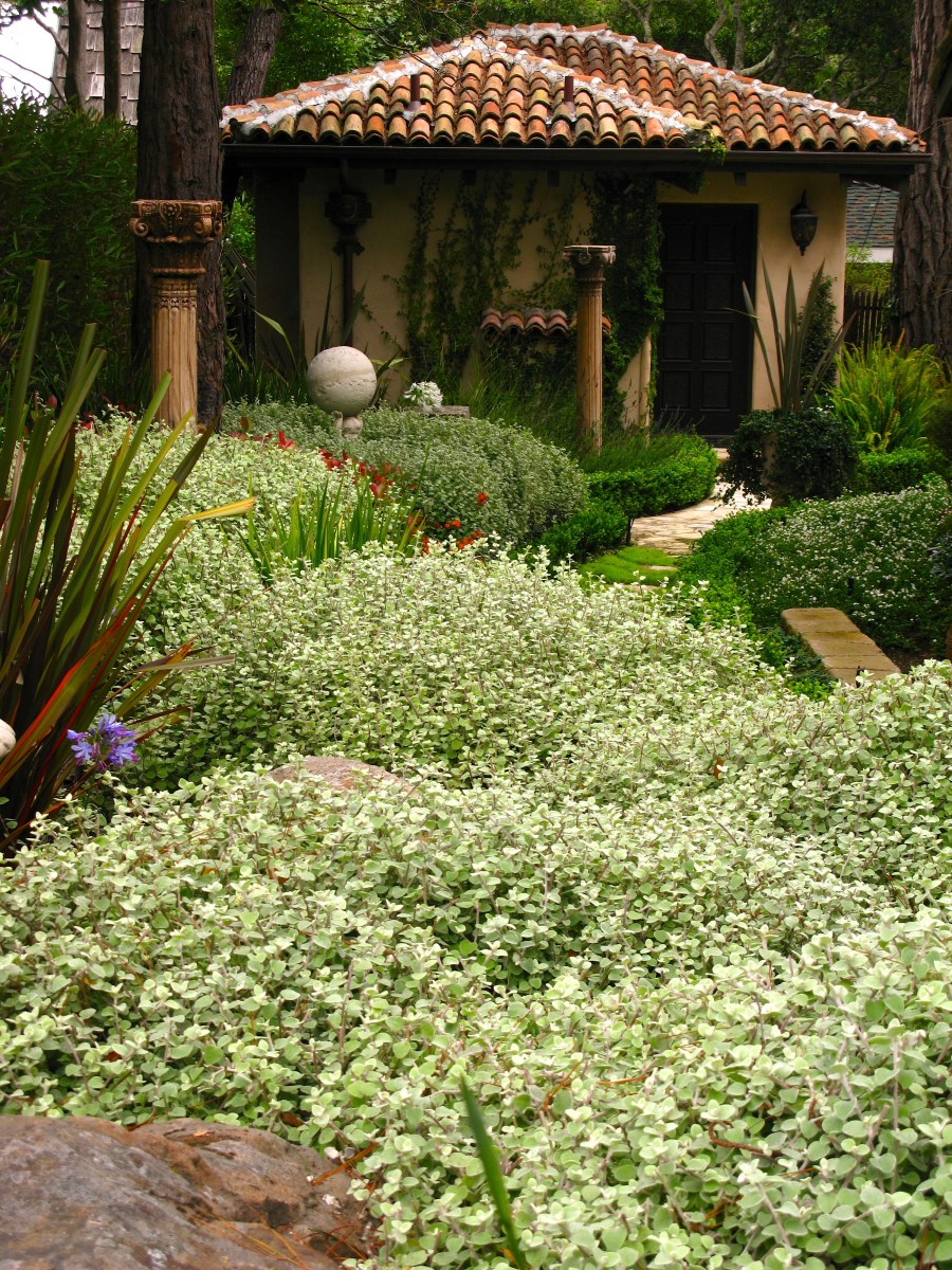 Hidden Garden of Carmel