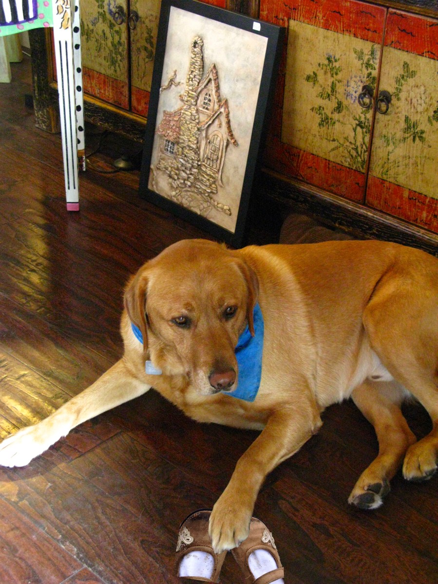 Hudson gives the shoes encouragement