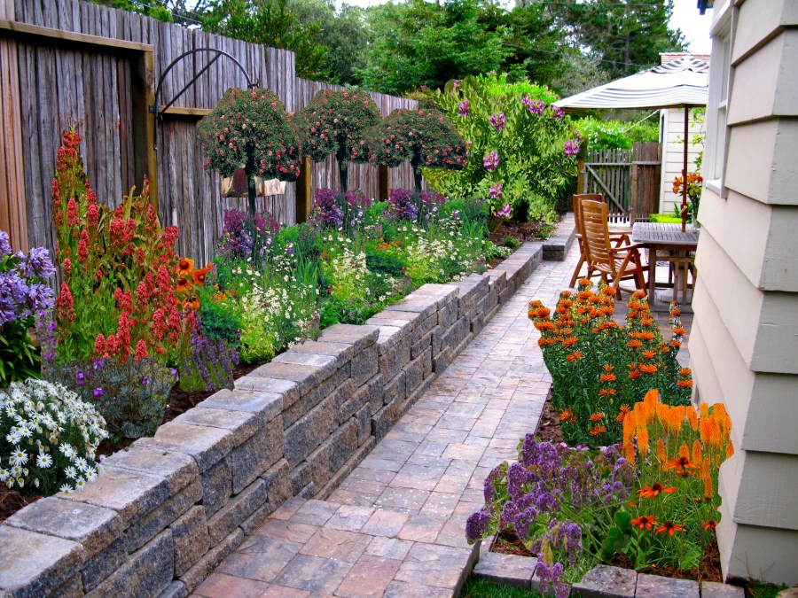 Color Palatte in the Garden