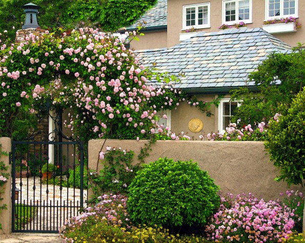 IMG_0179house of roses